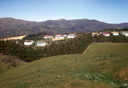 01 Makara Radio houses looking east.jpg